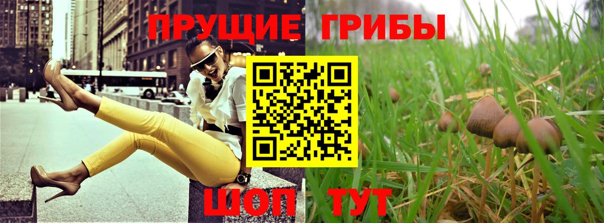 даркнет сайт  Галлюциногенные грибы Magic Shrooms  Вход с VPN  Волоколамск 